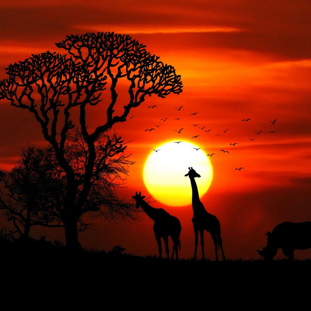 African Sunset cover